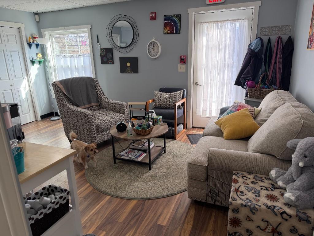 A warm therapy office with a beige sofa, patterned chairs, a round coffee table on a green rug, natural light through sheer curtains, and a small tan therapy dog standing on the hardwood floor.